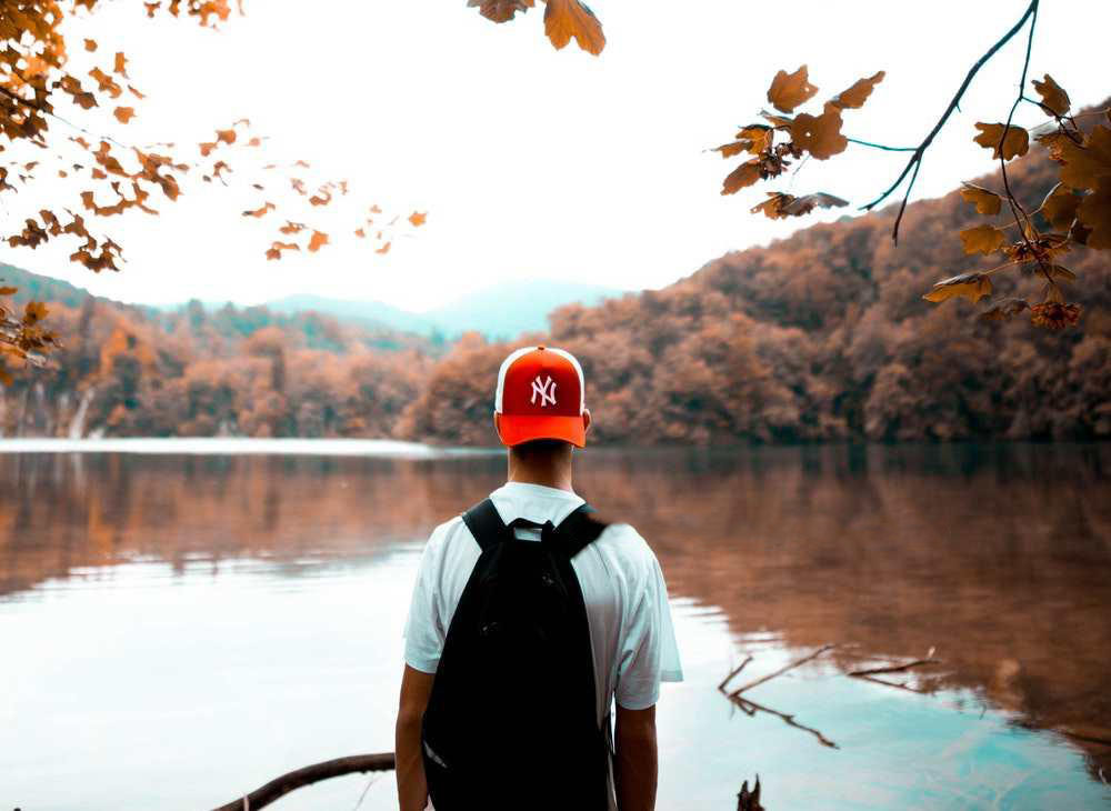 Best Markets for Regional Nut Roasts: A Culinary Journey Through Local Flavors