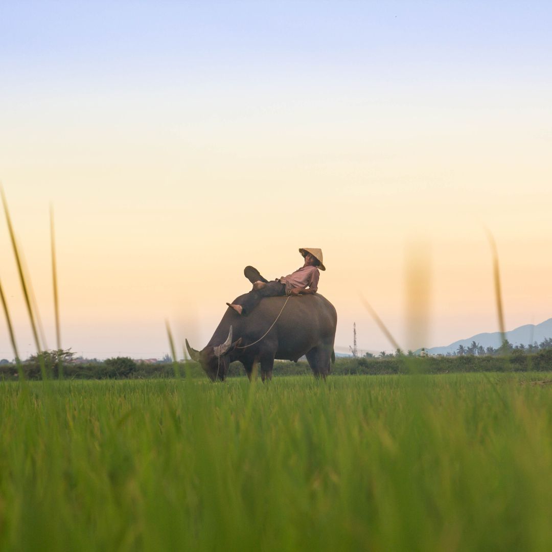 Saturday, November 22, 2025 – A Weekend of Spices and Streets: Chengdu’s Soul on a Plate