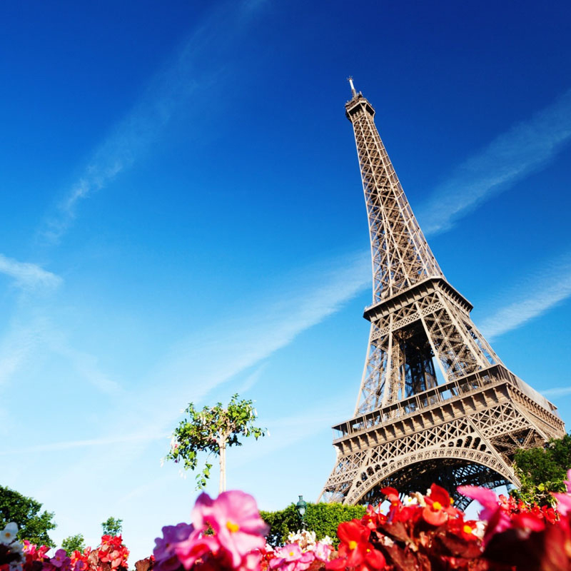 November 23, 2025 – Sunday – Chengdu, Sichuan