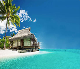 Discovering the Magic: Top Family Attractions Around Harbin