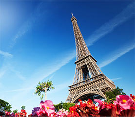 Sunday, November 30, 2025 — A Weekend of Spices, Streets, and Sichuan Soul